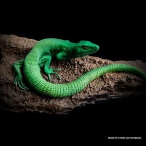 Elegoo Mars 4 Ultra 9K Reçine 3D Yazıcı