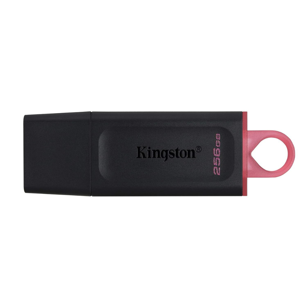 Kingston Exodia DTX/256GB 256GB USB 3.2 Bellek