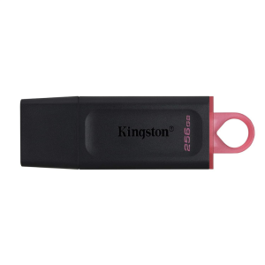 Kingston Exodia DTX/256GB 256GB USB 3.2 Bellek