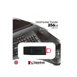 Kingston Exodia DTX/256GB 256GB USB 3.2 Bellek