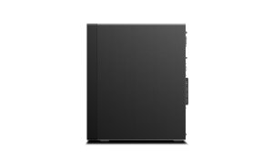 LENOVO TS P330 30C50062TX E-2124G 8GB 256GB SSD 2GB/P620 WİN10 PRO