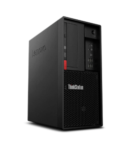 LENOVO TS P330 30C50062TX E-2124G 8GB 256GB SSD 2GB/P620 WİN10 PRO