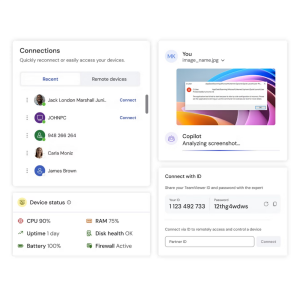 TeamViewer Corporate 1 Yıllık 30 Kullanıcılı Abonelik Lisansı