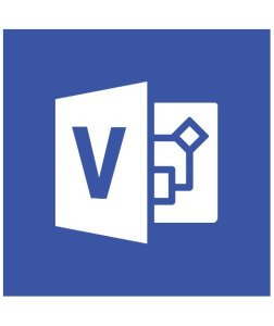 VİSİO STANDART 2019 - ELEKTRONİK LİSANS