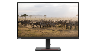 Lenovo ThinkVision S27e-20 62AFKAT2TK 27'' 4ms 60Hz Full HD Monitör