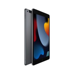 Apple 10.2'' iPad Wi-Fi + Cellular 64GB Uzay Grisi