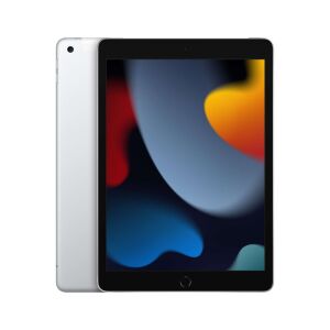 Apple 10.2'' iPad Wi-Fi 256GB Gümüş