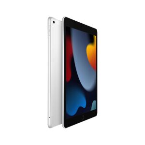 Apple 10.2'' iPad Wi-Fi 256GB Gümüş