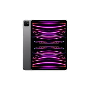 Apple 11'' iPad Pro Wi-Fi + Cellular 256GB Uzay Grisi