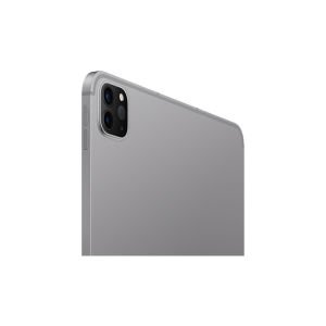 Apple 11'' iPad Pro Wi-Fi + Cellular 256GB Uzay Grisi