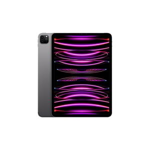 Apple 11'' iPad Pro Wi-Fi 128GB Uzay Grisi