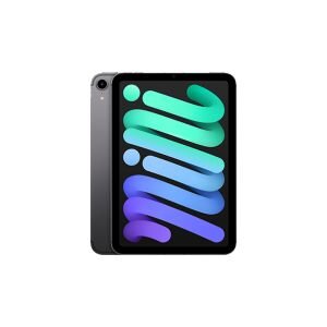 Apple iPad Mini Wi-Fi + Cellular 64GB Uzay Grisi