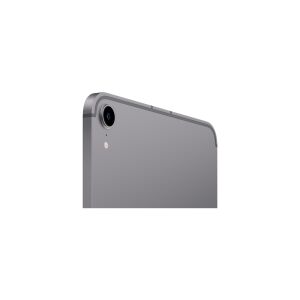 Apple iPad Mini Wi-Fi + Cellular 64GB Uzay Grisi