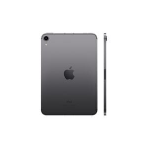 Apple iPad Mini Wi-Fi 256GB Uzay Grisi