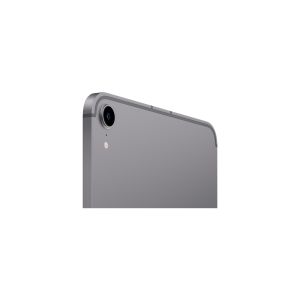 Apple iPad Mini Wi-Fi 256GB Uzay Grisi