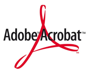 ADOBE ACROBAT STANDARD DC FOR TEAMS 12AY ABONELIK TICARI L1