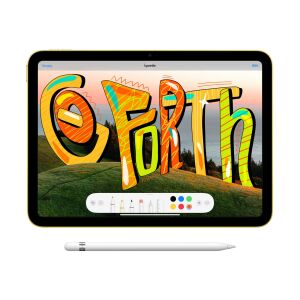 Apple 10.9'' iPad Wi-Fi + Cellular 256GB Pembe