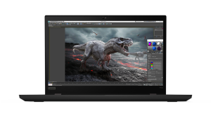 LENOVO P53s 20N6002UTX i7-8665U 16GB 512GB HDD 2GB/P520 W10PRO